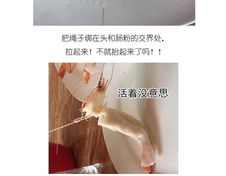 升龙饺子24