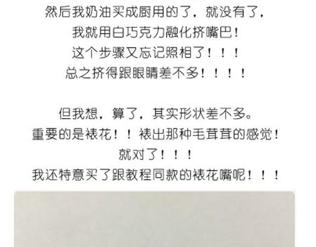 小熊蛋糕24