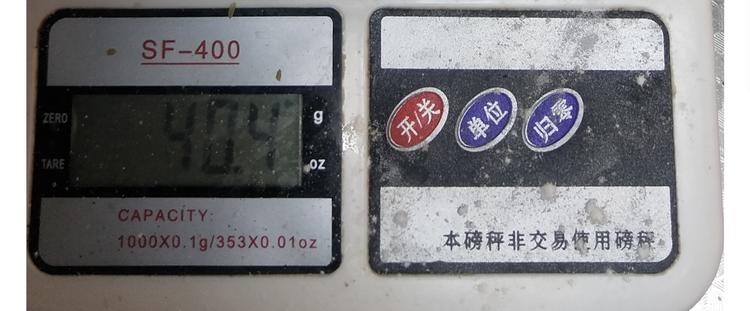 仙女的罗马盾饼干21