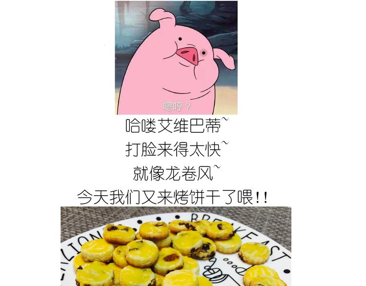 仙女蔓越莓奶酥0