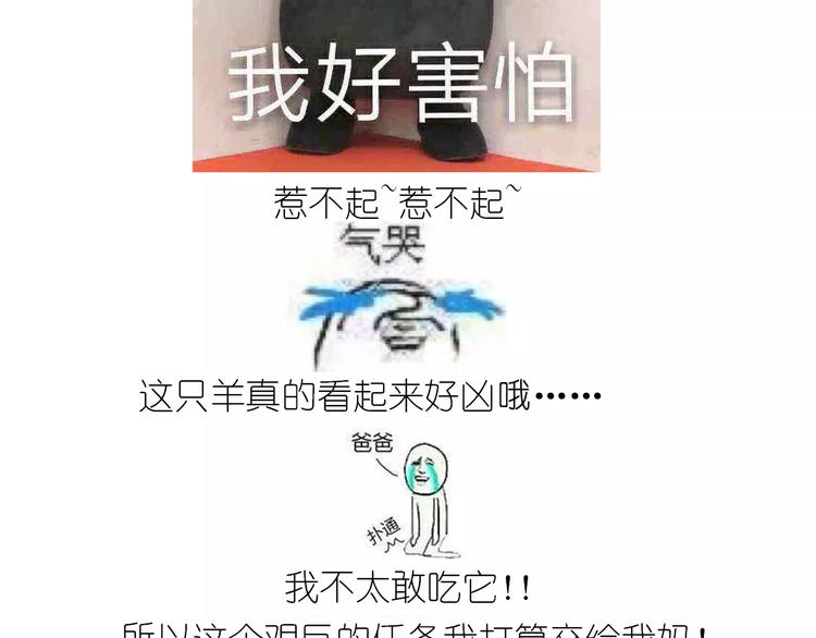 小绵羊面包61