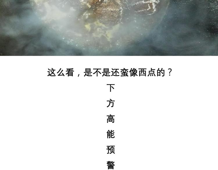 红烧狮子头25