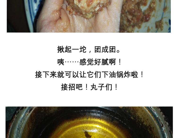 红烧狮子头13