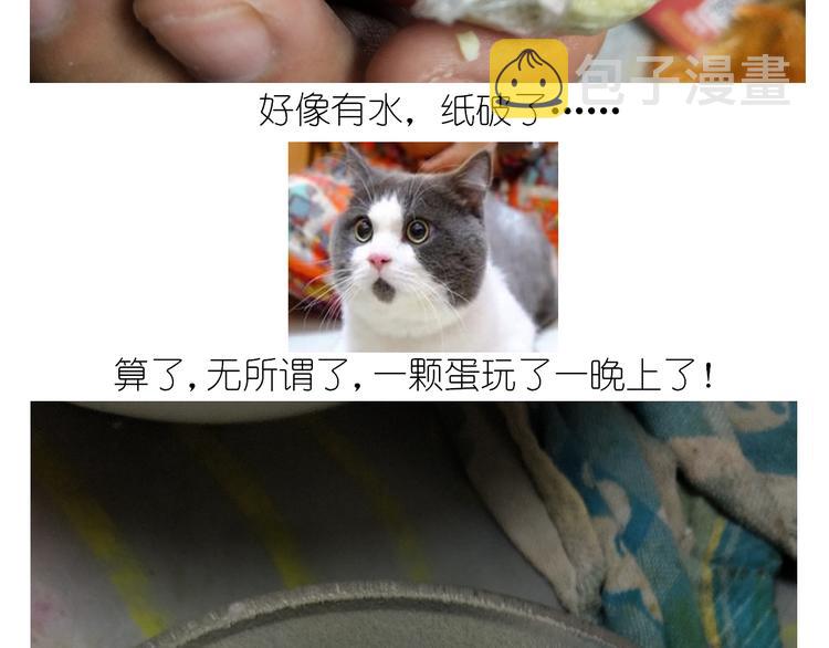 仙女黄金蛋47