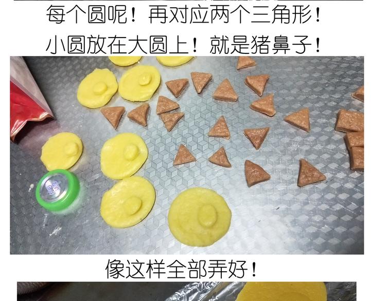 仙女小年特色猪饼干29
