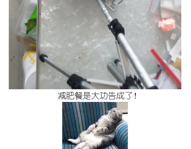 仙女的减肥餐56