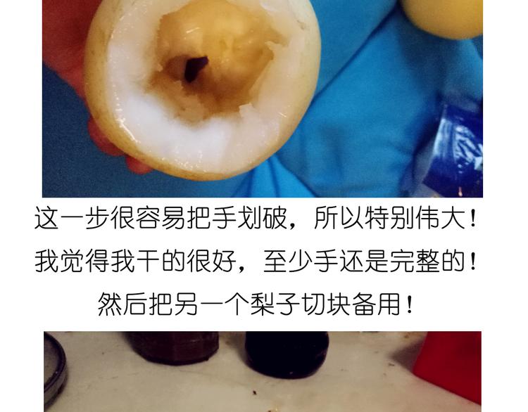 雪梨盅2