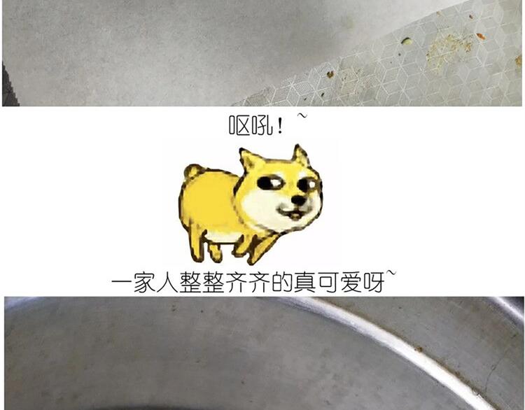 仙女的青团38