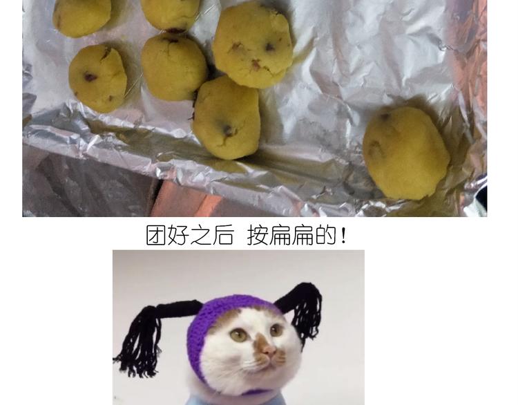 仙女蔓越莓奶酥21