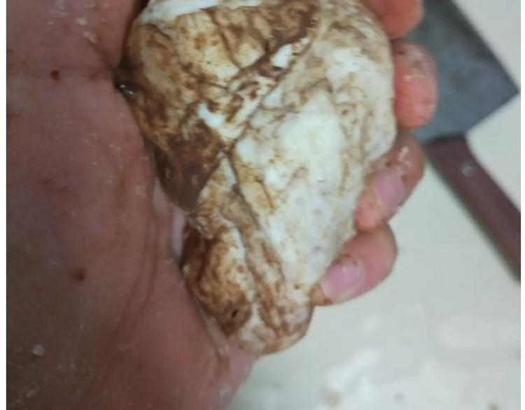 小绵羊面包17