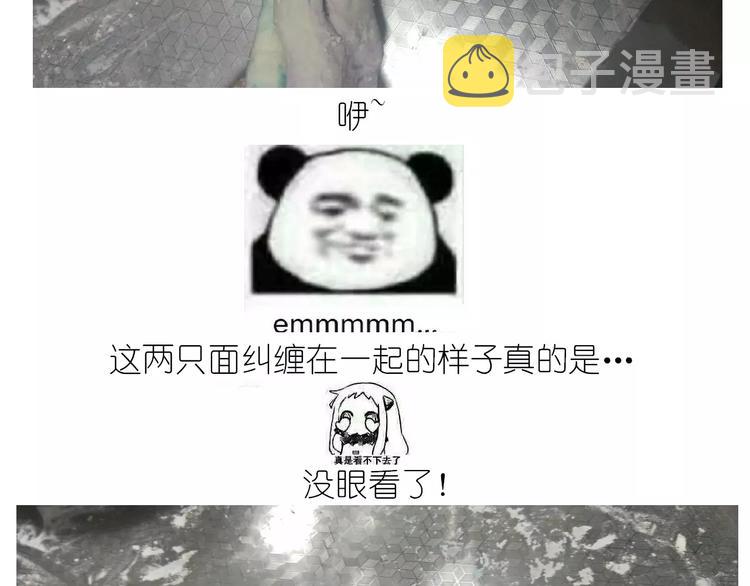 仙女的星空27
