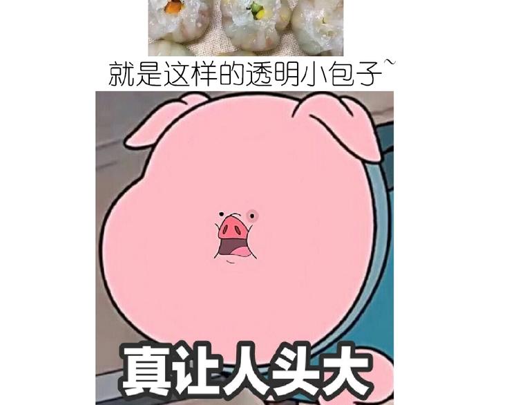 仙女水晶包1