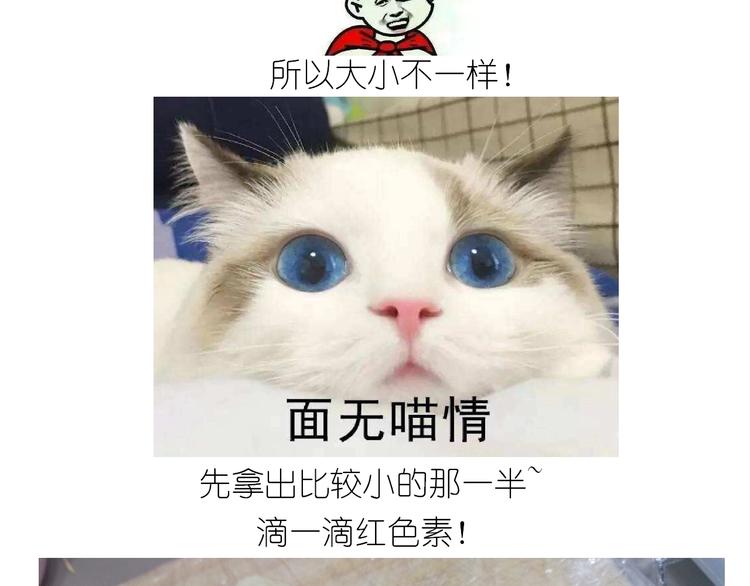 仙女的狗子39
