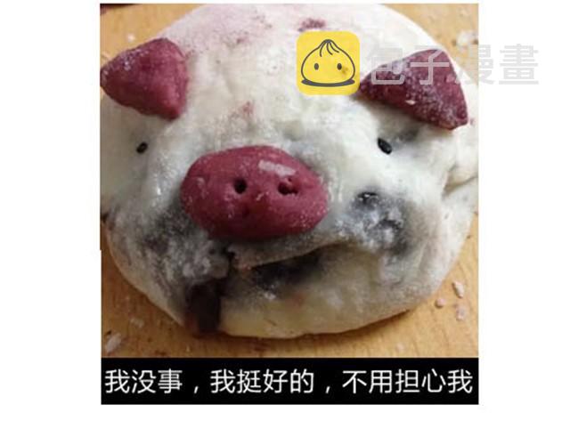 可爱的小猪豆沙包11