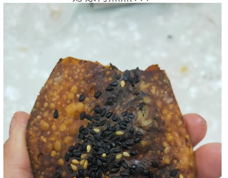 仙女的烧饼49