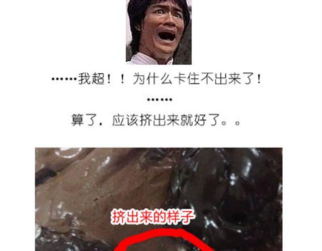 小熊蛋糕27