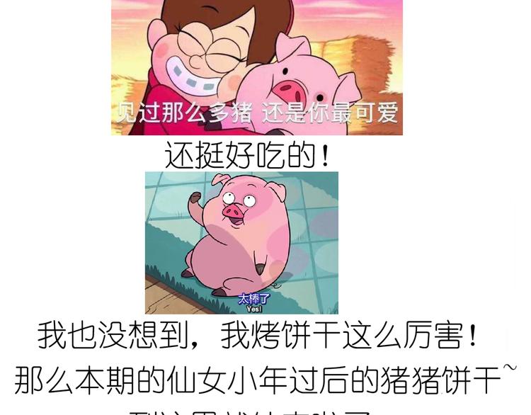 仙女小年特色猪饼干41