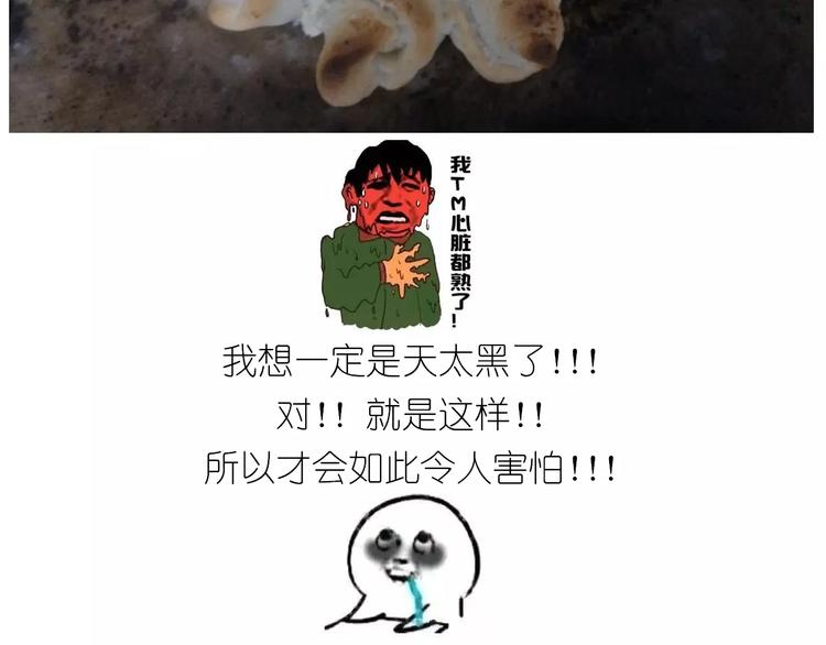 小绵羊面包58
