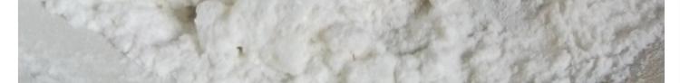 仙女的卡通汤圆21