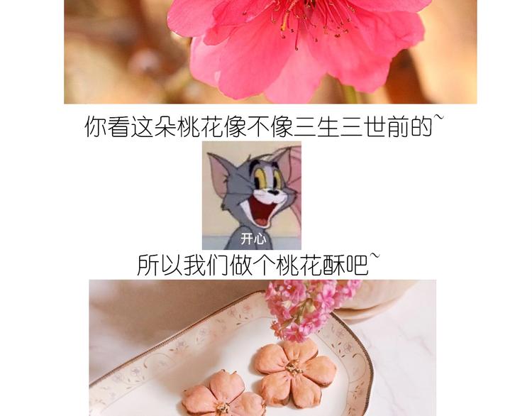 仙女的小桃花1