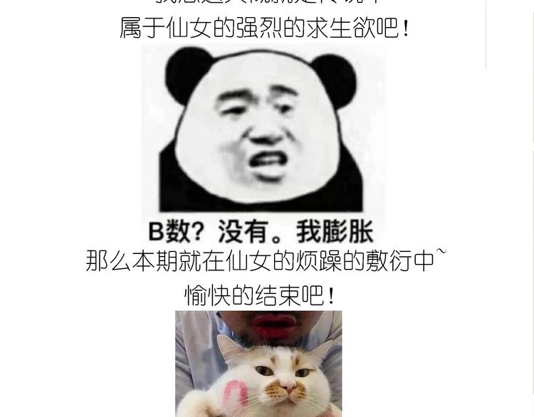 仙女姨妈饼41