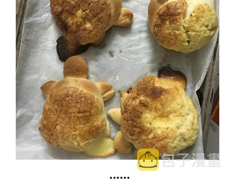菠萝包20
