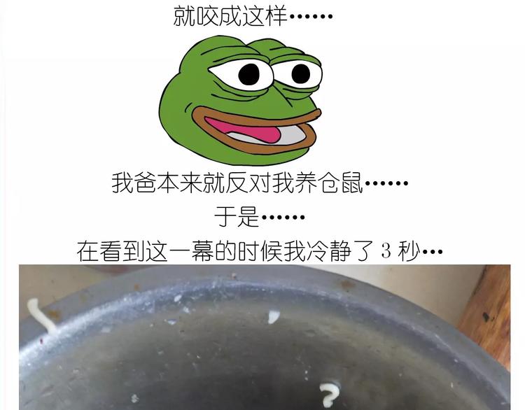 仙女的蛋包面22