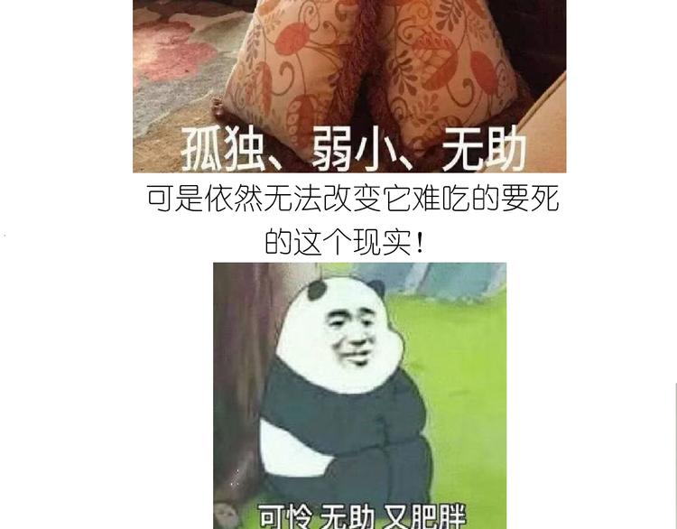 仙女的椰丝小方52