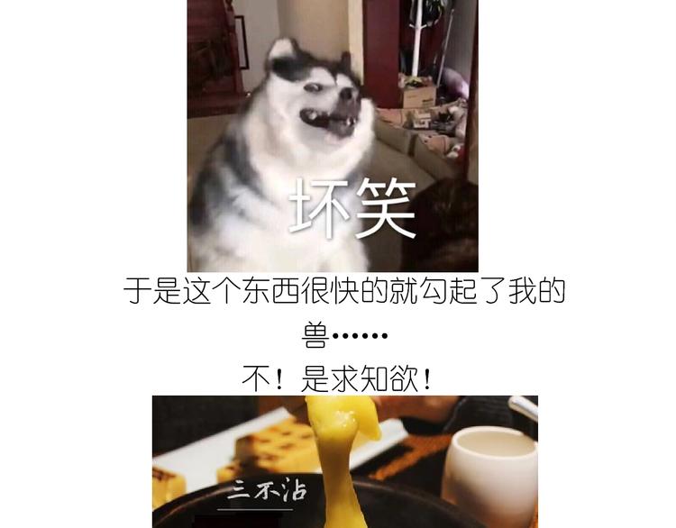 仙女三不沾4