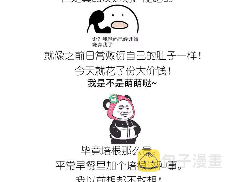 仙女肉月饼2