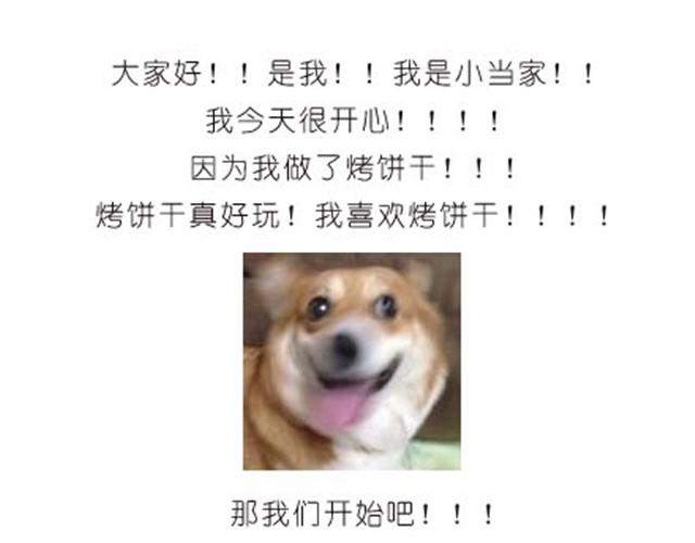 烤饼干0
