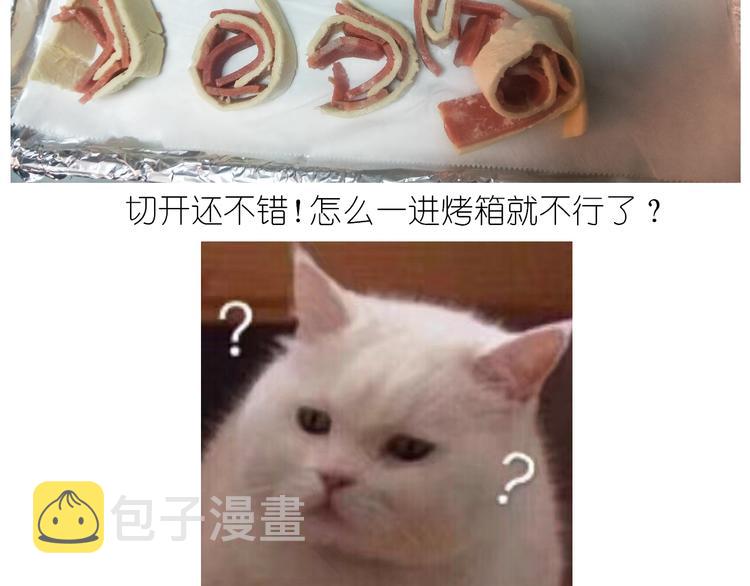 仙女肉月饼10