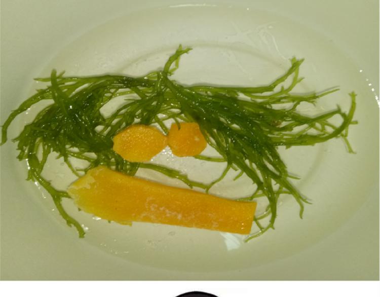 果冻19