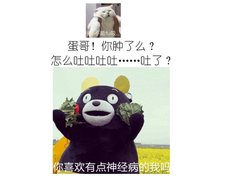 熊本熊蛋糕22