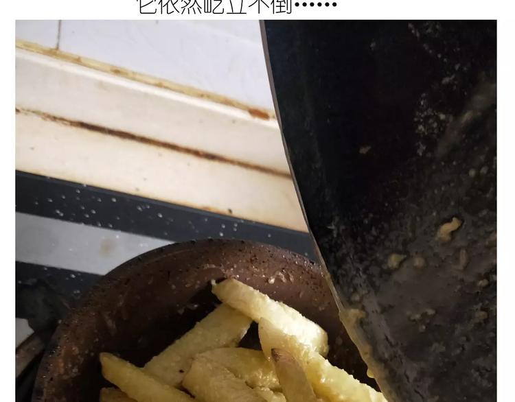仙女的糖衣炮弹38