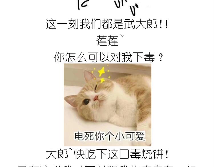 仙女的烧饼55