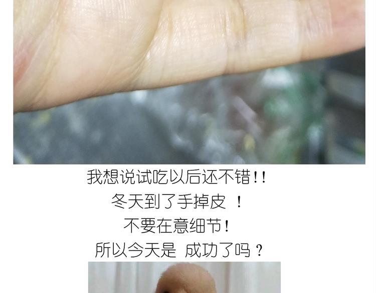 仙女蔓越莓奶酥31