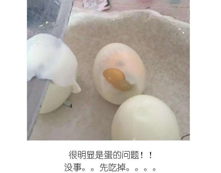 小鸡沙拉6