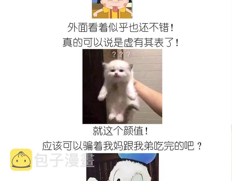 仙女的妇女节蛋糕61