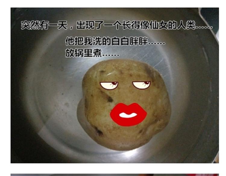 土豆丸子26