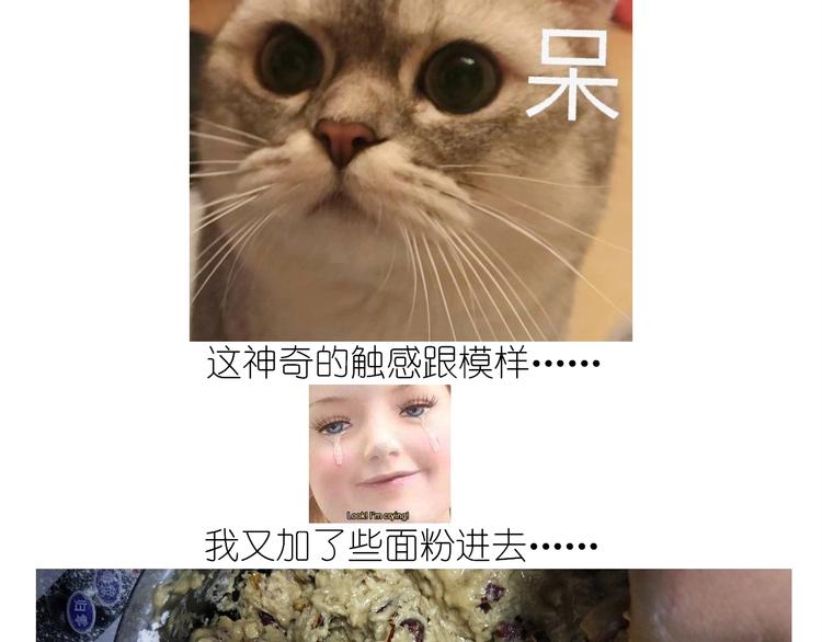仙女姨妈饼31