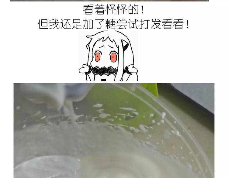动物蛋糕卷23
