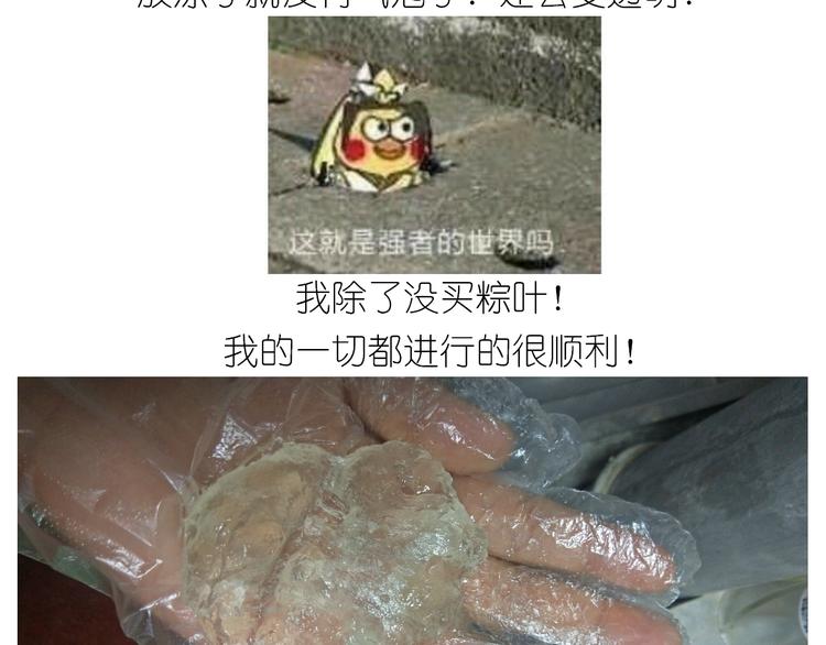 仙女星冰粽25