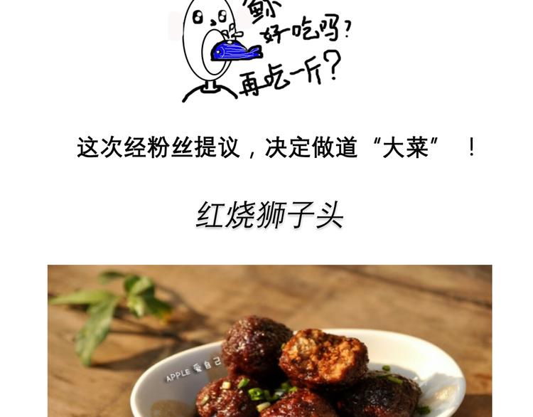 红烧狮子头1