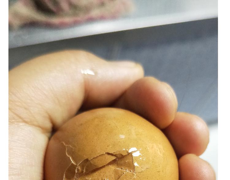 仙女黄金蛋15