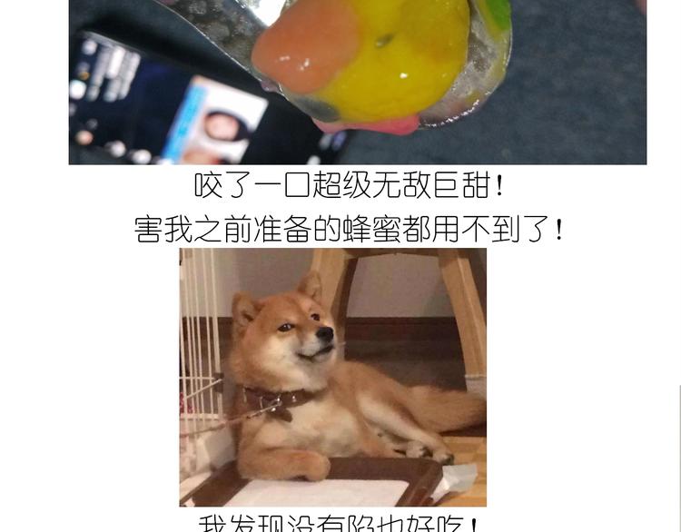 仙女的卡通汤圆54