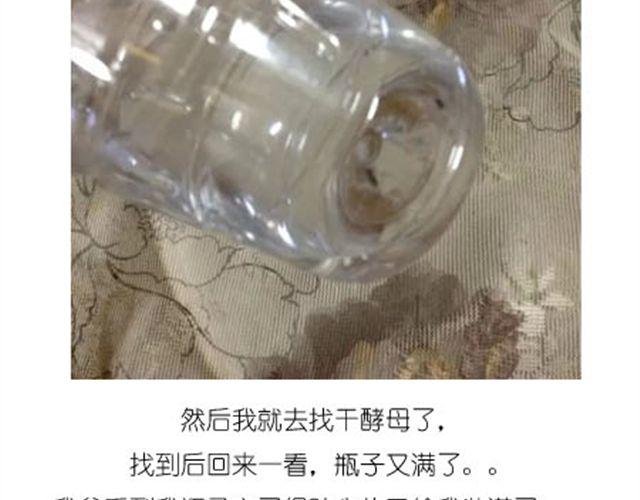 甜甜圈7