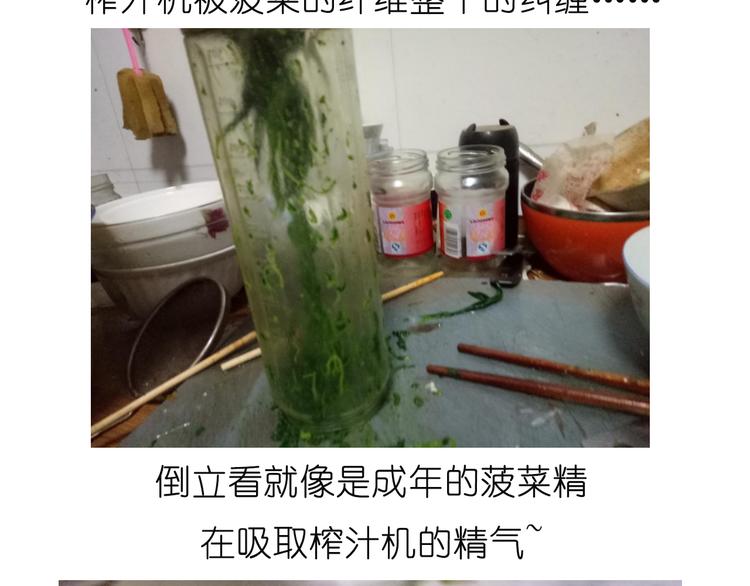 菠菜饼10