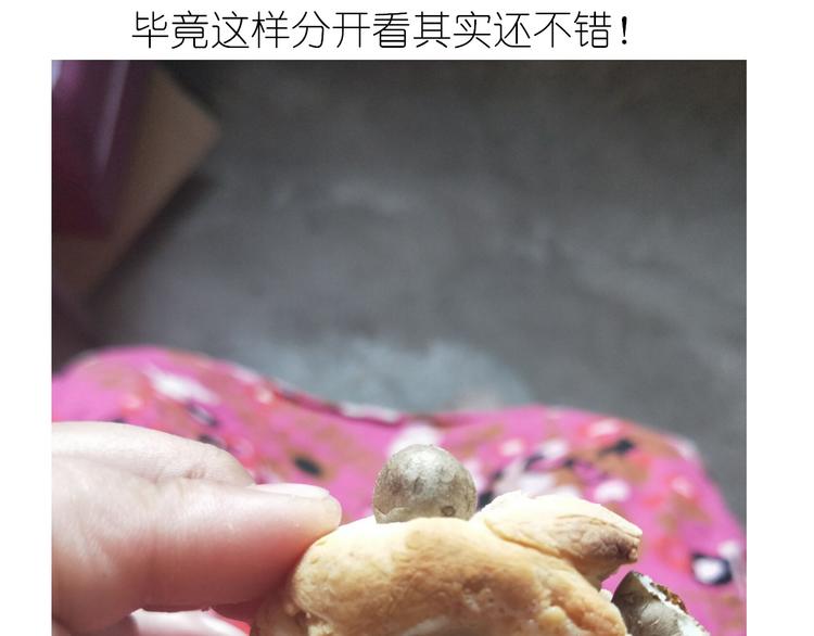 夹心面包22