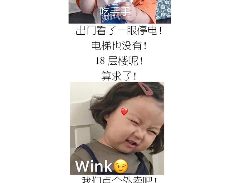 仙女减肥炒饭2